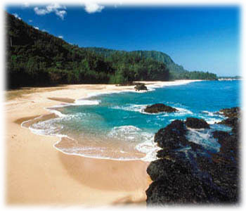 hawaii.jpg